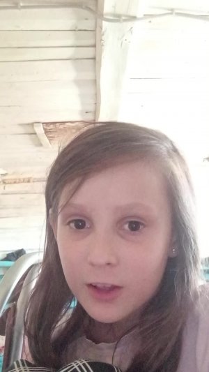 трануиляссия от бо