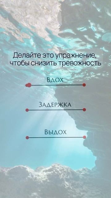 Снижаем тревожность #дыхание #дыхательныепрактики #freediving #психология