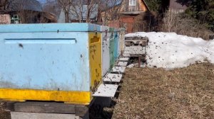 25.03.25 первый весенний облет