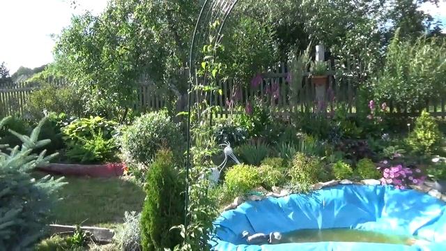 Прогулка на начало июля . ( 3 часть .) смотреть онлайн