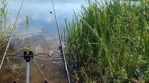 Рыбалка на красивой речке