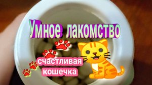Огонь 🔥 трюк, который поможет вашей кошке избавиться от....