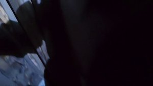 Глухарь в сосну