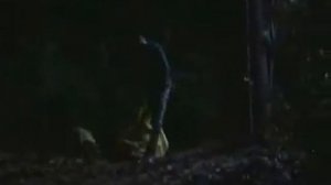 Jason kills With Sleeping Bag-Friday The 13th part 7