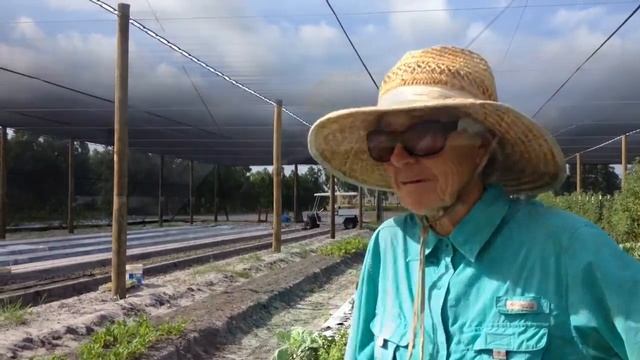 South Florida Summer Growing at Kai-Kai Farm смотреть онлайн