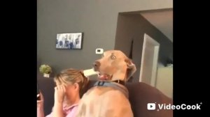 подборка мемов