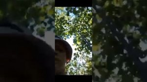 Нашел тайник?