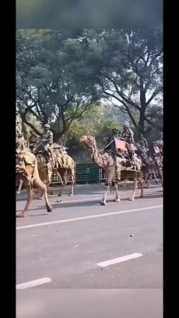 1000016073.mp4