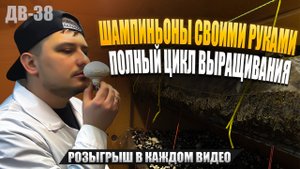 ВСЕ СЕКРЕТЫ ВЫРАЩИВАНИЯ ШАМПИНЬОНОВ | ДВ38