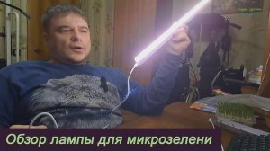 Обзор лампы для микрозелени