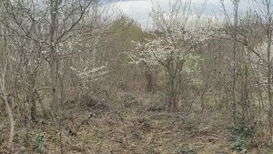 VID_20250325_153424