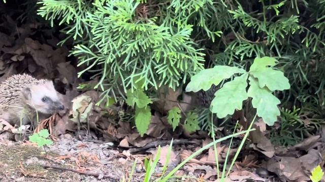 18 января 2024 г. смотреть онлайн