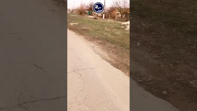 «Перебежечками, с Божьей помощью… работаем, братья!»