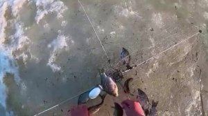 ХАПУГИ! ПОСЛЕДНИЙ ЛЁД!!! ПРОСТО ШИКАРНЫЙ ВЕСЕННИЙ УЛОВ!!!