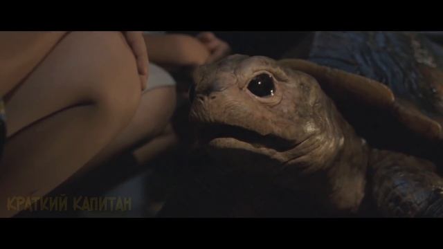 Краткий пересказ фильма (Краткий капитан)