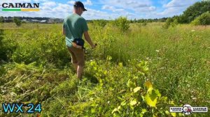 Бензокоса Caiman WX24 в работе