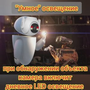 Picoo Dahua обзор