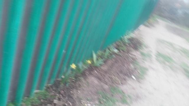 VID_20250323_180152