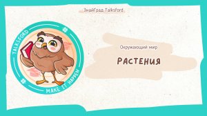 Окружающий мир. Растения. Органы растений. Условия жизни растений. Группы растений