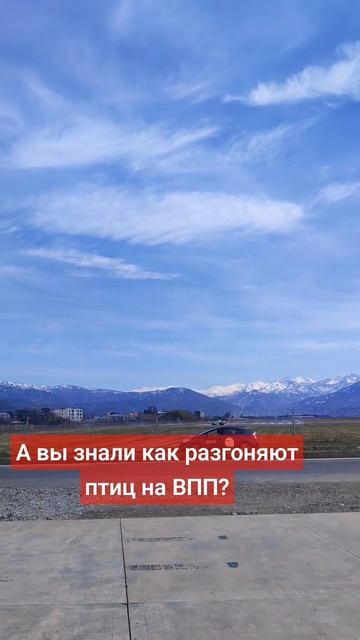 Аэропорт Батуми 2025 смотреть онлайн