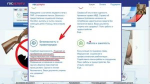 Подача заявления на получение лицензии на оружия через госуслуги