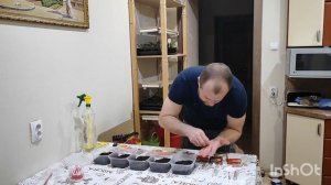 Посадка помидор на рассаду. Посадка рассады серия 4.
