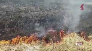 День в событиях от 24.03.2025