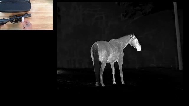 A quick look at the InfiRay Tube TS60 1280 HD thermal scope with ben from huntthenight.com.au смотреть онлайн