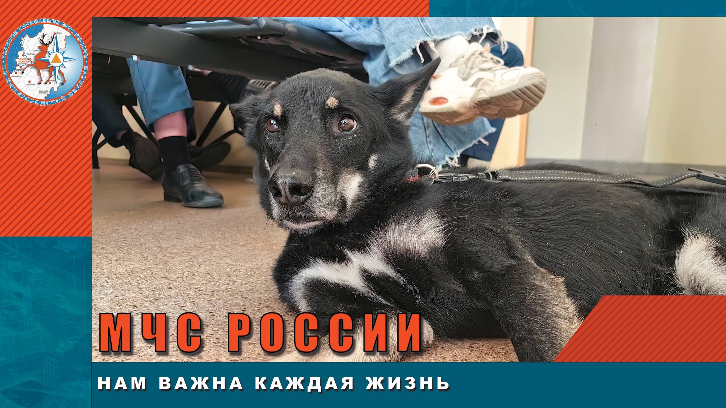 МЧС России – нам важна каждая жизнь смотреть онлайн