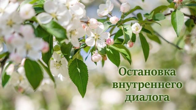 Остановка внутреннего диалога