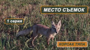 Фильм "Корсак Тяпа". 1 серия. Место съемок