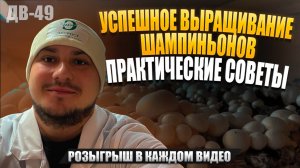 ВОТ ЭТО РЕЗУЛЬТАТ | СТОЛЬКО ГРИБОВ ЕЩЕ НЕ БЫЛО | ДВ49