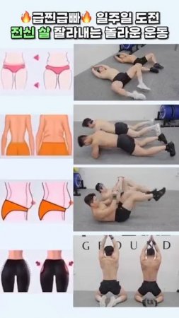 요즘 핫한 전신살 잘라내는 운동 모음 #뱃살운동 #오운완 #급찐급빠
