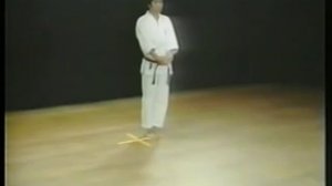 Bassai Dai - Shotokan Karate