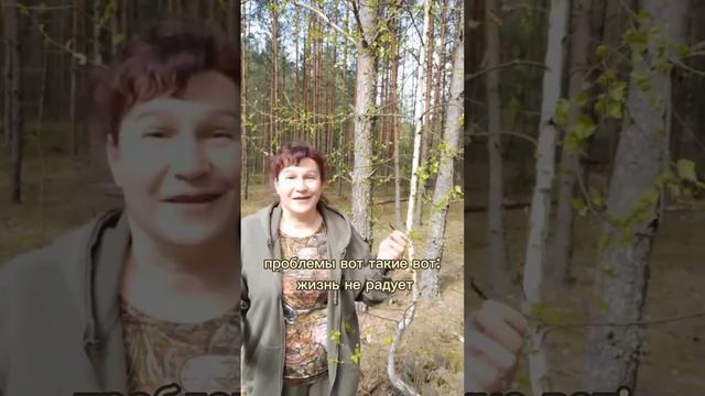 Целебные листочки для здоровья суставов, надпочечников и почек смотреть онлайн