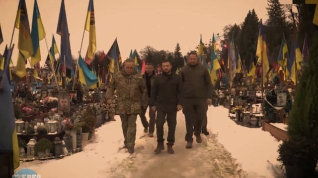 Британская собака