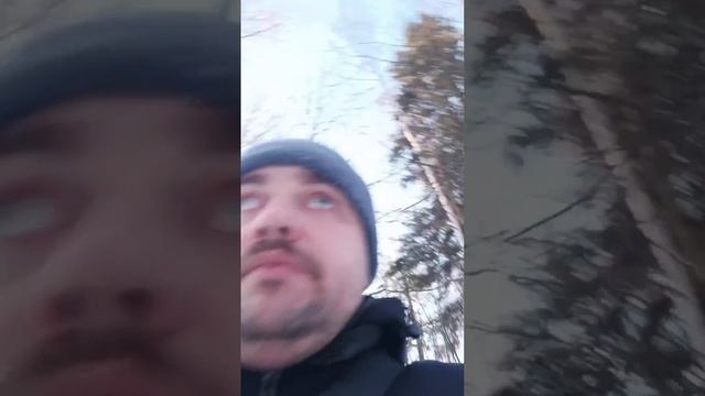 Пью Шардоне в лесу для Евгения Ковалева, спасибо за донат 😎😇