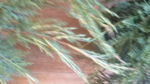 PXL_20250325_074348406