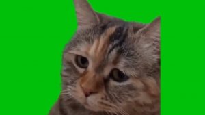 #мемные карты и не только