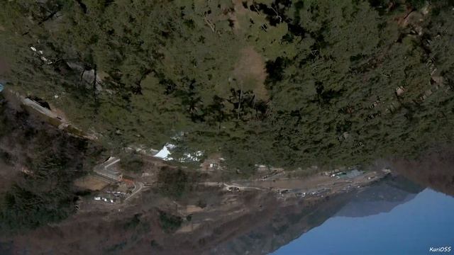 New Pine Forest - FPV Freestyle смотреть онлайн