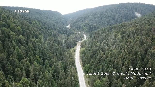 Abant gölü girişindeki ormanı (14.08.2019) смотреть онлайн
