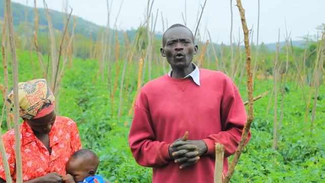 SECRETS OF SUCCESSFUL TOMATO FARMING "PART TWO"