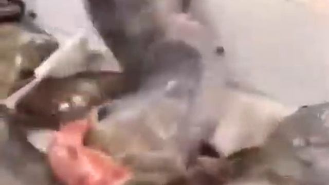 ПРО РЫБУ смотреть онлайн