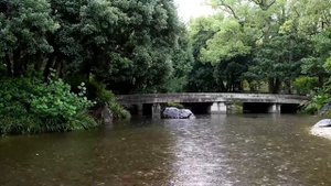 Звуки дождя, которые помогут вам заснуть 🌧️ Белый шум природы для глубокого сна