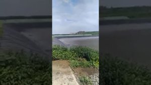 Мнение о ТРИЮН специалиста Эконива Воронеж