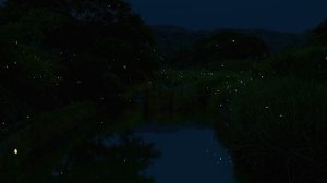 Футажи-Светлячки у реки