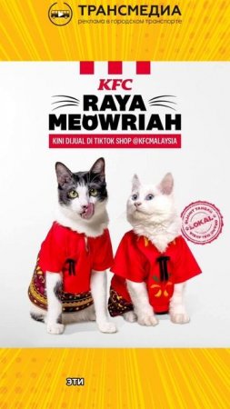 Котики в национальных костюмах