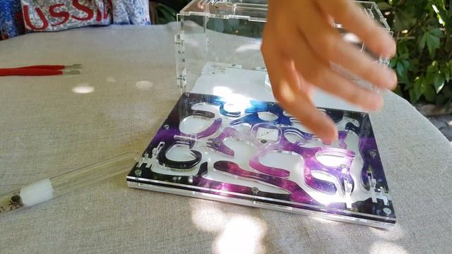 УРА! У МЕНЯ ВЫЛУПИЛИСЬ МУРАВЬИ Lasius niger/ GURGEN смотреть онлайн