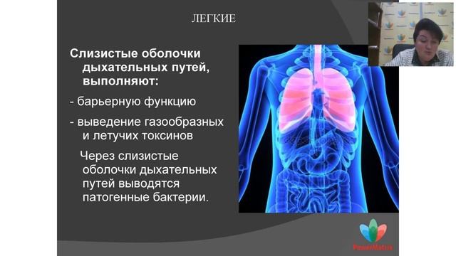 Вебинар: "Программа Детокс"