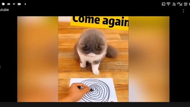 подборка смешных🤣🤣🎥видео